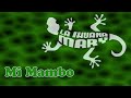 La Ihuana Mary - Mi Mambo | Video Lyric