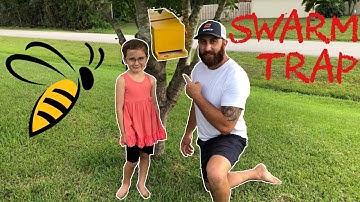 Bee Hive |Swarm Trap | Bait Hive | Free Bees | DIY 🐝