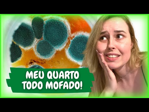 Vídeo: Como você se livra do mofo da neve?