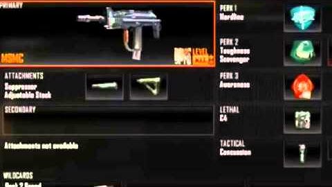 MSMC Best Class Setup Bo2