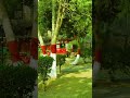 Park in the city 👍#viral #love #song #trending #funny #trendingshorts