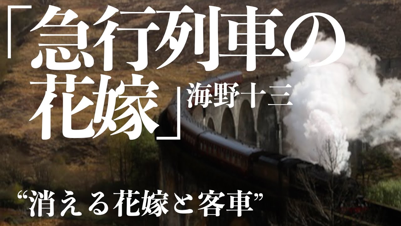 【朗読/推理小説/ミステリー】海野十三/急行列車の花嫁【大人向け/イヤミス】