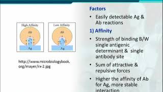 BT302_Topic046