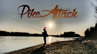 Pikeattack - Auf Raubfische Bei Minusgraden