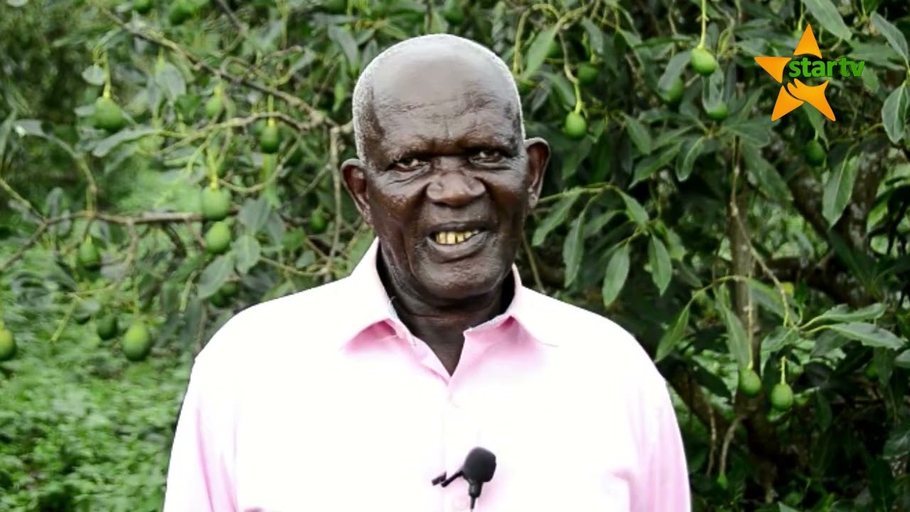 VIUATILIFU ZAO LA PARACHICHI