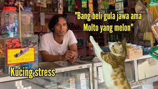 KUCING INI BISA DISURUH BELI GULA JAWA & MOLTO SACHET DI WARUNG MADURA? | PULANGNYA BAWA KEMBALIAN?