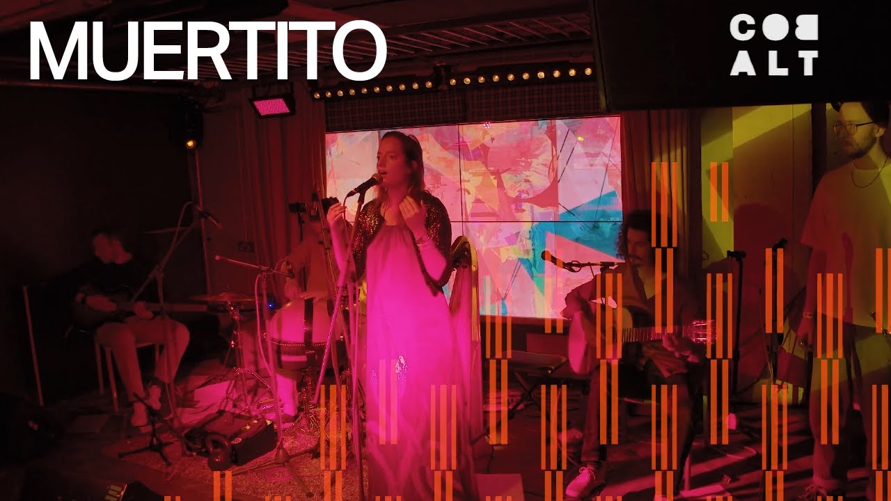 Muertito - Live at Cobalt Studios // Afro-Latin, Flamenco, World Jazz
