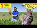 अमेरिका में गेहूँ का खेती कैसे होती है America Wheat ka KHET खेत कितने का मिलता है APNA AMERICA