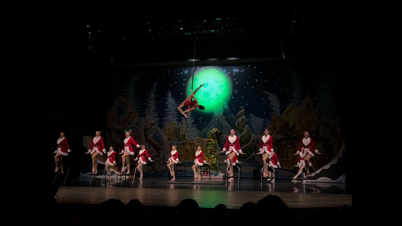 Nia Millan Aerial Pole Act - The Grinch 