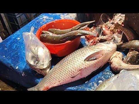Hanif Fish Hm Abu Hanif fish cutting channel আলহামদুলিল্লাহ is live! Big and small ...