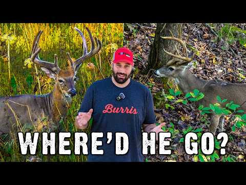 The Early-Season Buck Shift Most Hunters Miss