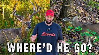 The Early-Season Buck Shift Most Hunters Miss