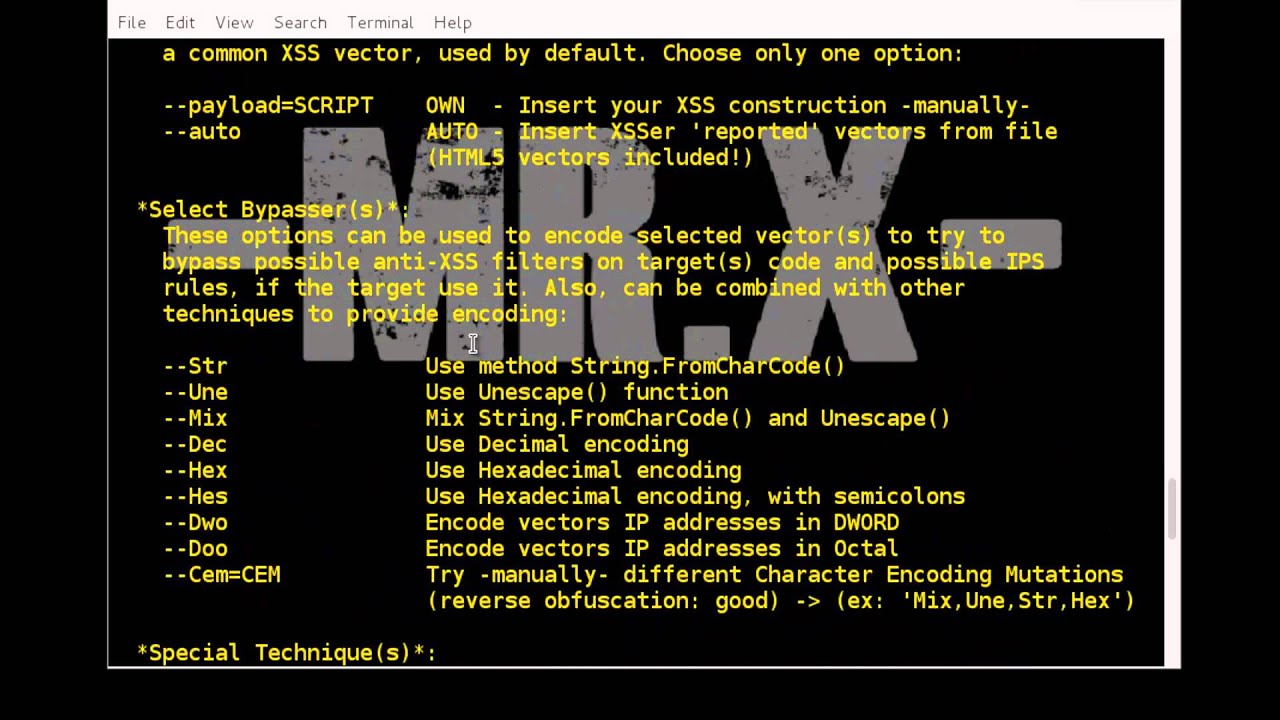 Cross Site Scripting (XSS) < BorderGate