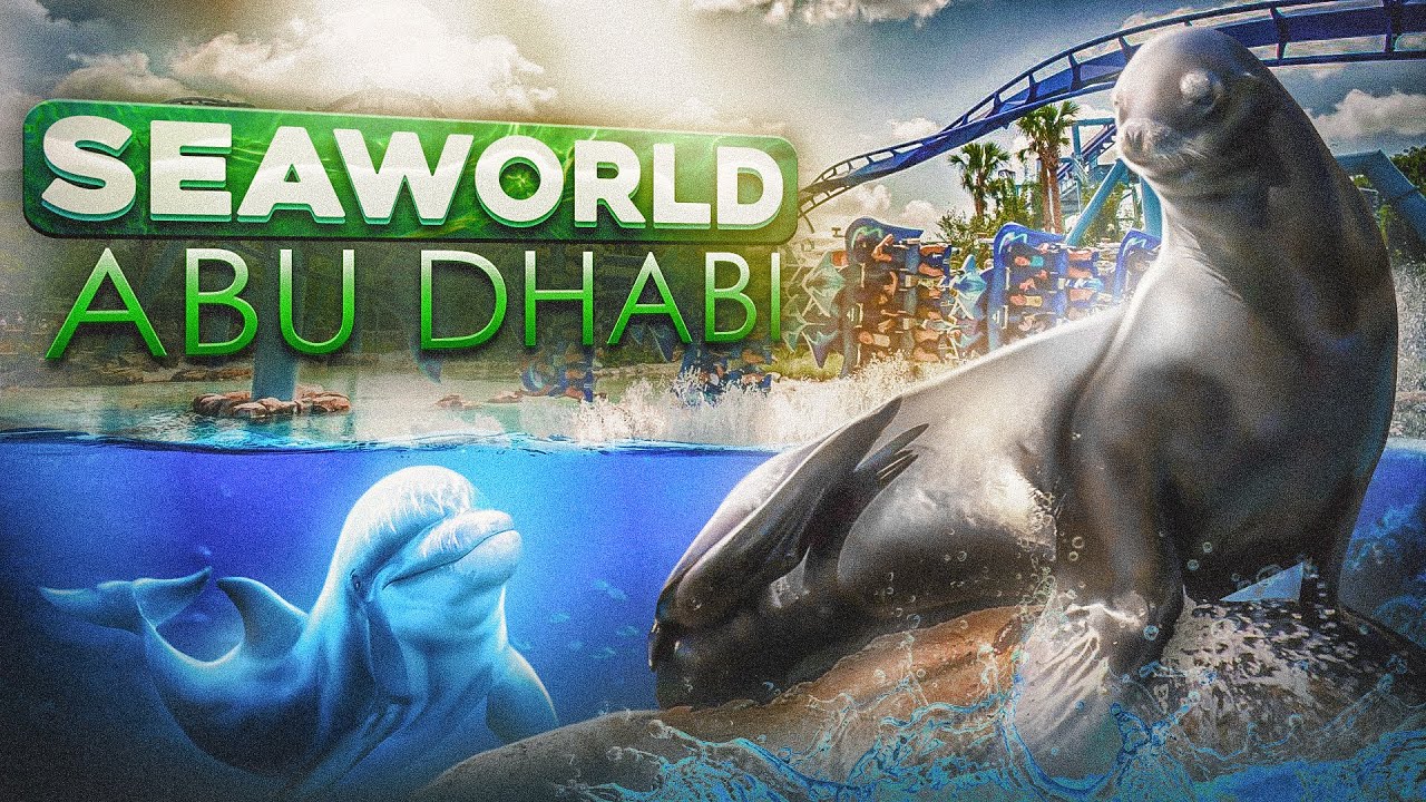 Морской Парк в Абу Даби 2023 | КУДА СХОДИТЬ С ДЕТЬМИ В ОАЭ