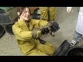 女子アナ動物愛され対決!11/9放送ダイジェスト【女子アナの罰】
