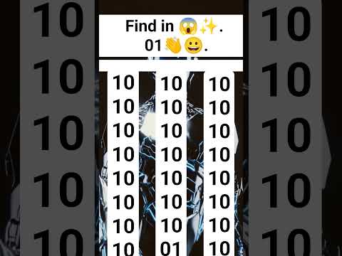 1010101010101010