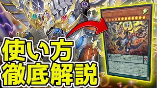 遊戯王 超天新龍オッドアイズ・レボリューション・ドラゴン 50枚 未