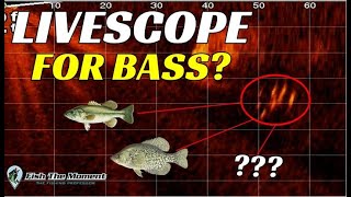 Should You Buy LiveScope for Bass Fishing? | Watch This Before You Buy!! screenshot 3