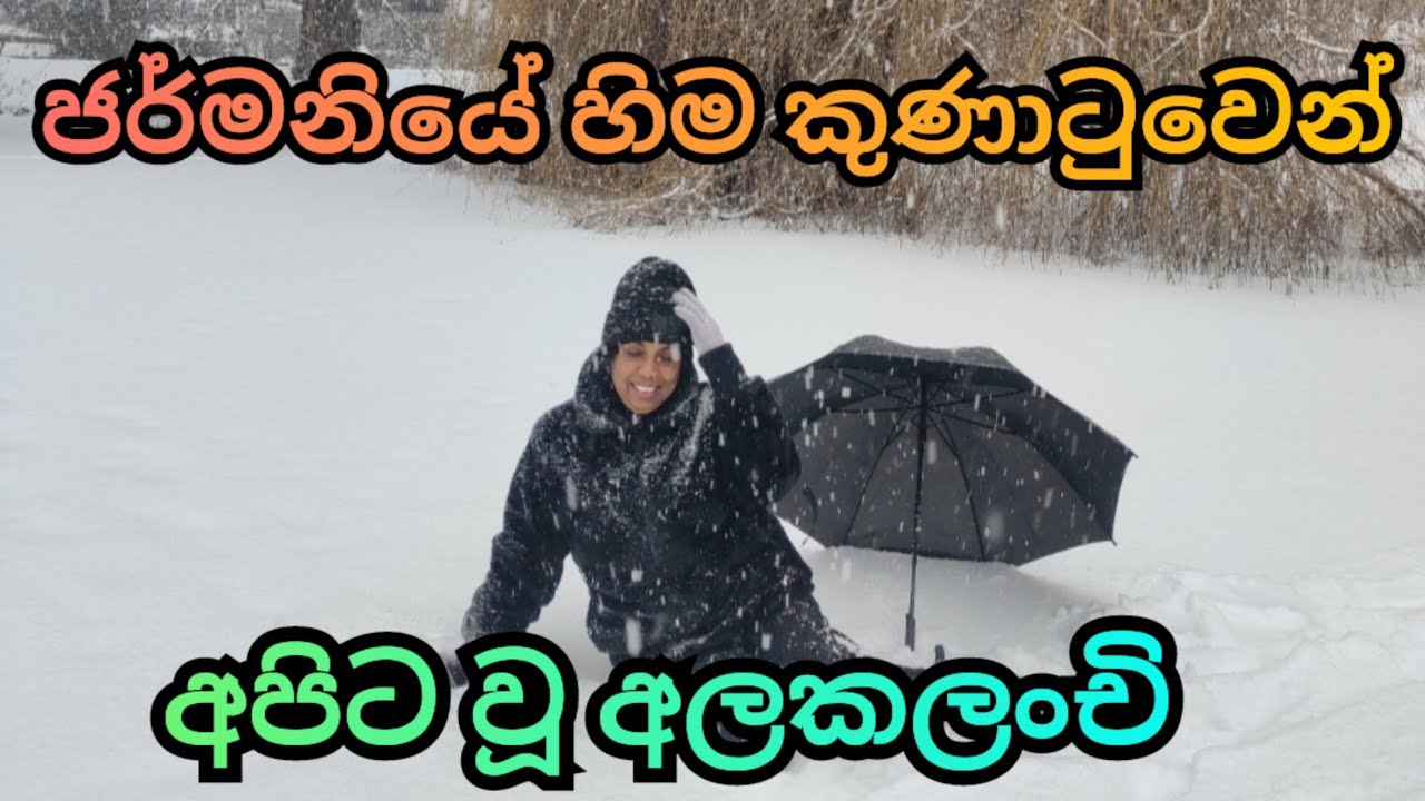ජර්මනියේ හිම කුණාටුව මැද අපි 