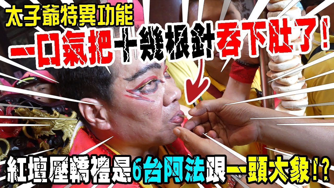 【蔡淘貴跑廟會】EP225 出現了!!吞針絕技!!吐針救命!!桃園護國宮太子爺的特異功能!!紅壇壓轎禮是6台阿法跟一頭大象!!果真是太子爺啊!!!看到後面!你會熱血到爆炸!!