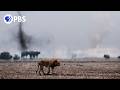 Katavi Severe Drought Threatens Animal Families Official Trailer Katavi Severe Drought Threatens Animal Families Official Trailer