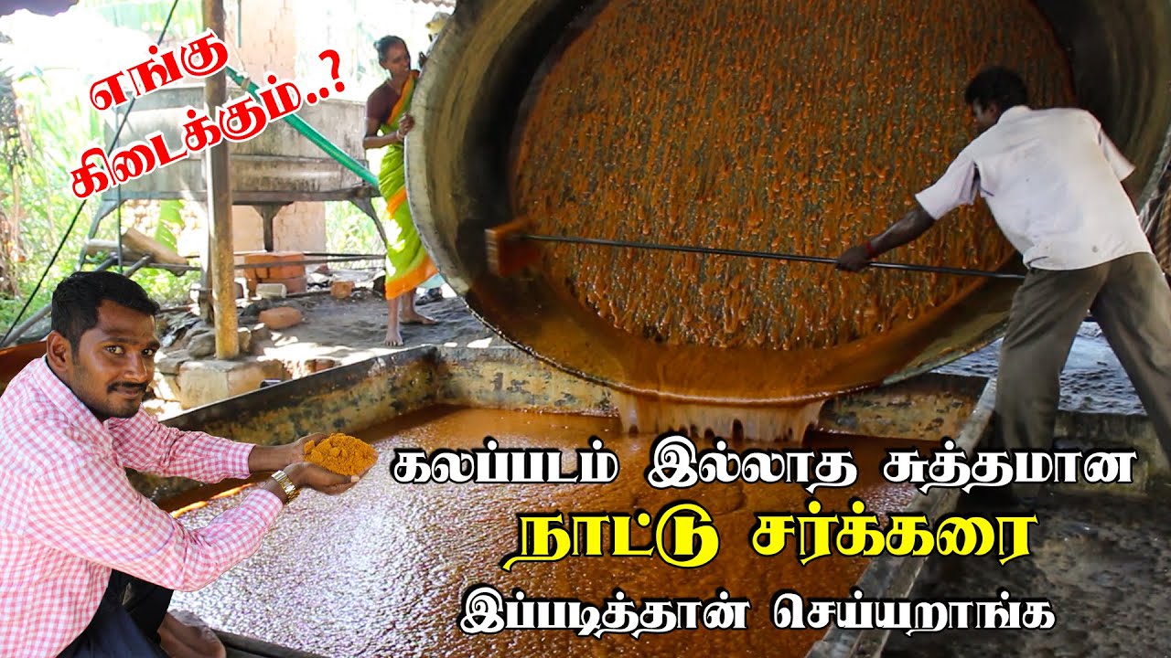 ஒரிஜினல் நாட்டுச்சக்கரை..செய்யும் இடத்திலிருந்து.. NATTU SAKKARAI MAKING | MANUFACTURING TAMILAN