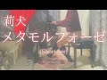 【莉犬】「メタモルフォーゼ」(Short ver) を弾いてみました。
