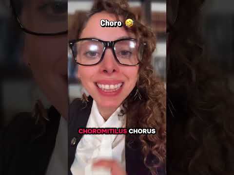 Me quedo choro el video arriesgo censura
