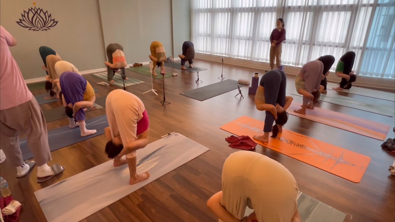 [엔젤요가] 하타집중 수련영상 #89