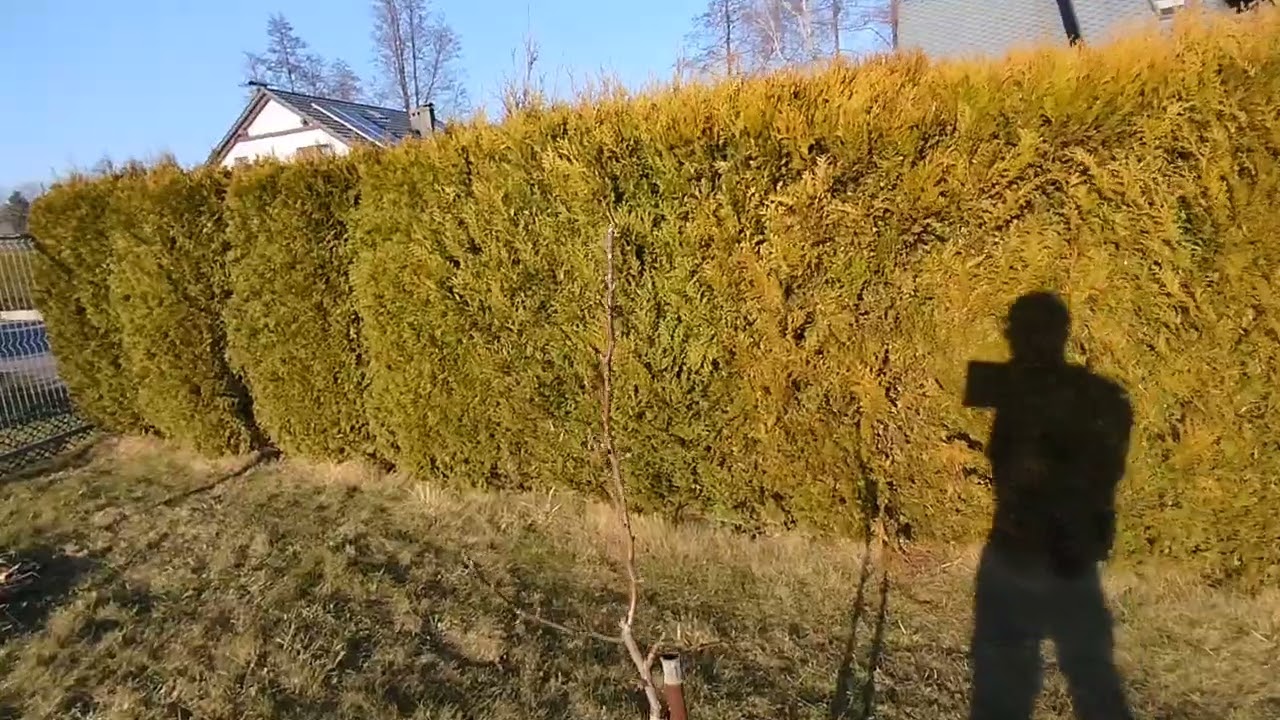 Wisła Mała 2026.02.28 i po cięciu