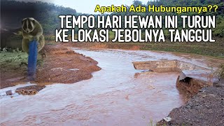 Amukan Sungai Citanduy Membuat Rungkad Tanggul Bendungan Leuwikeris