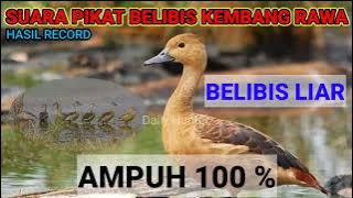 Suara Pikat BELIBIS terbaik paling mujarab di 2023 ll Pikat full MP3 durasi panjang