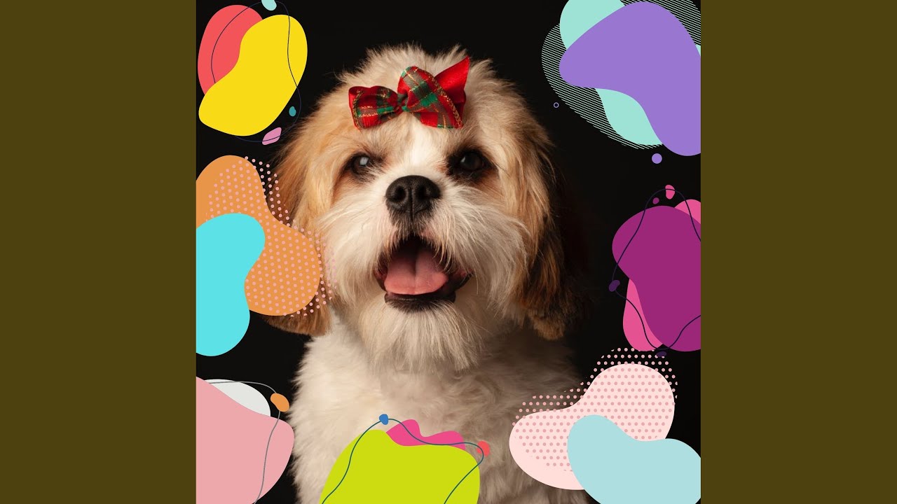 Elegant Moods for Rewarding Your Dog