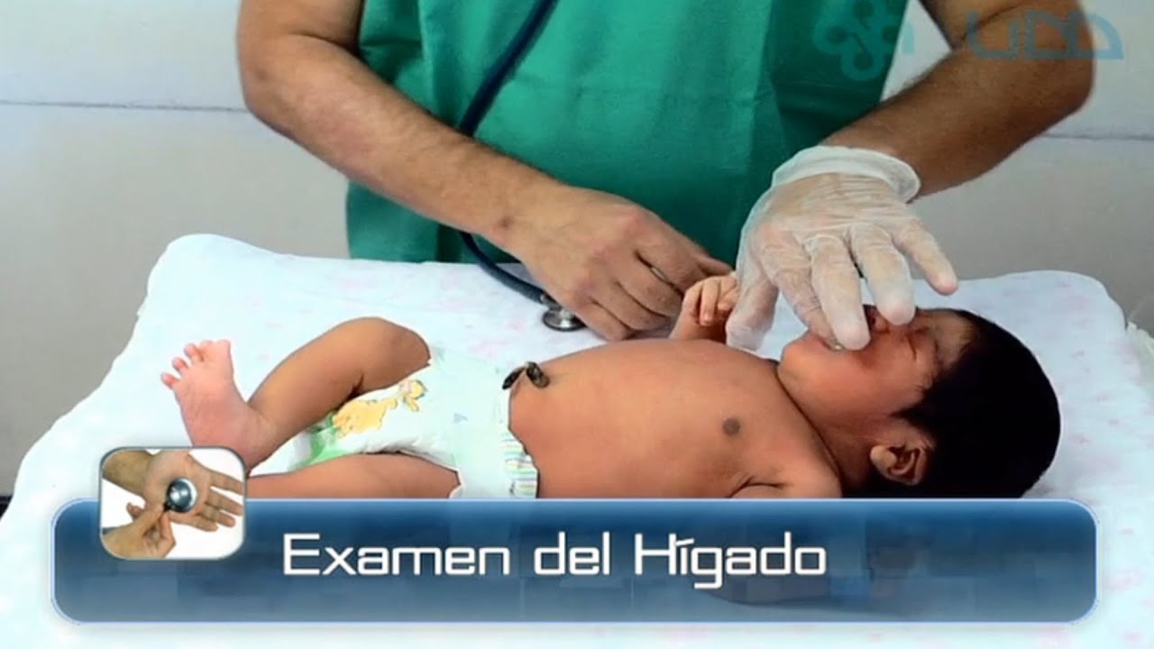🌟EXAMEN DEL HÍGADO DEL RECIÉN NACIDO🌟 - YouTube