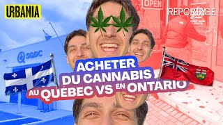 Québec vs Ontario : le combat des dispensaires de cannabis | Reportage terrain