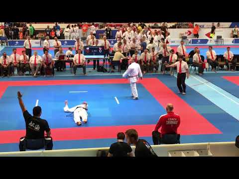 Karate Knock Out - Ipon13th SKIF World Championship 2019 - Japan vs Denmark