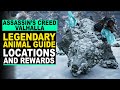 Assassin's Creed: Valhalla - LEGENDARY ANIMAL Guide | Locations and Rewards!