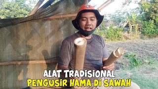 Alat Pengusir Burung Di Sawah