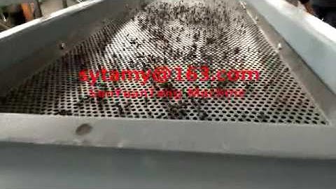 Linear vibrating screen for Cocoa beans