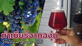 วิธีทำเบียร์องุ่น How to make Grape ale beer (champagne beer)