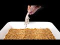 1000 MEALWORMS AND CHICKEN PAW - 3 DAYS TIMELAPSE