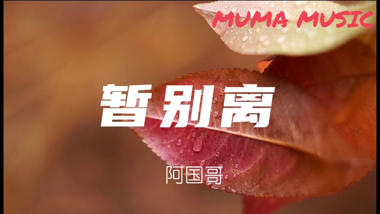 阿國哥 - 暫別離『 愛你一生不捨棄 , 無懼遠隔百千里。』【動態歌詞Lyrics】 - YouTube