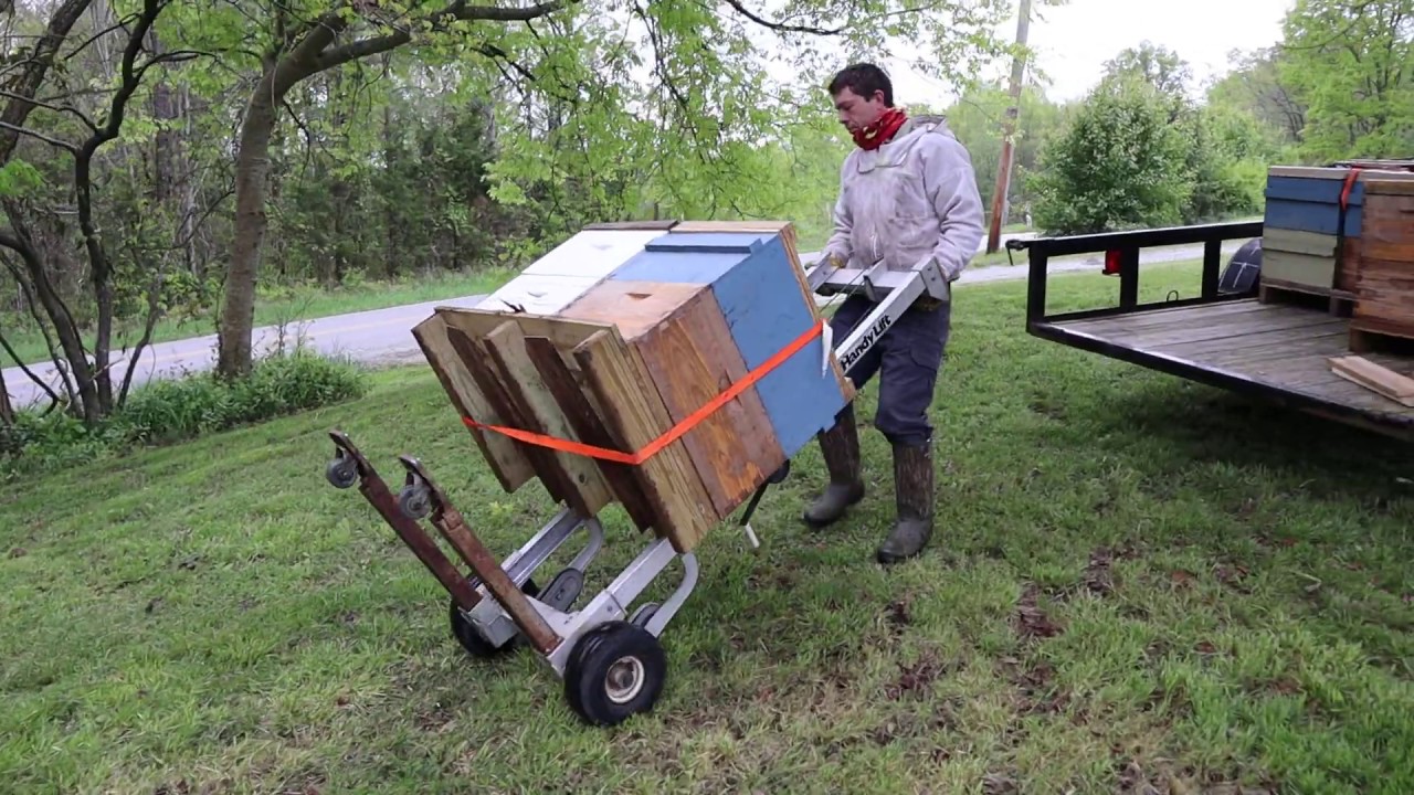 🔵Moving honeybees on a small scale.