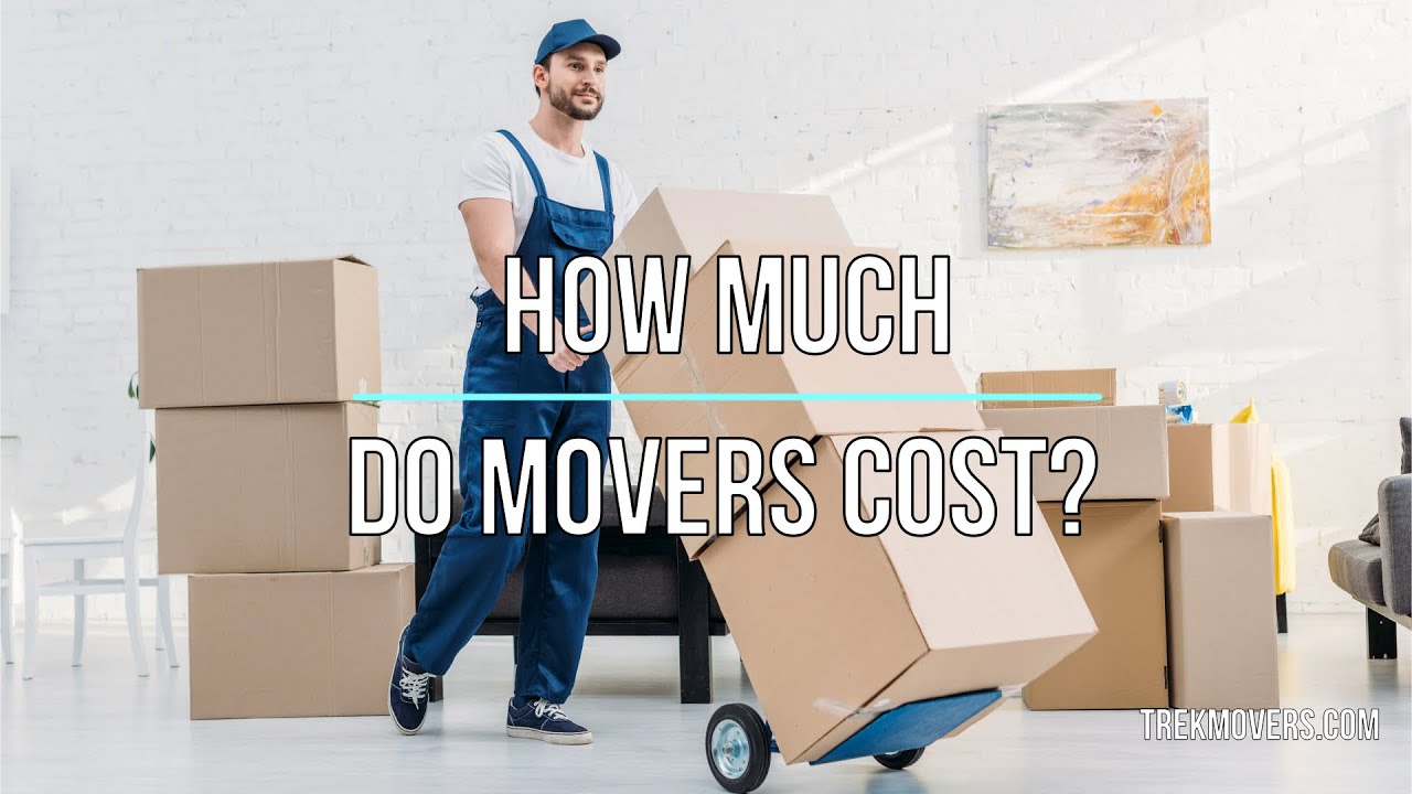 HOW MUCH DO MOVERS COST 🚍 TrekMovers YouTube