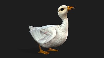 Duck A123