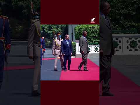 ماعت جروب السيسي ي علن مصر ستحمي حلفاءها في البحر الأحمر رد مدو على توعد إثيوبيا لإريتريا