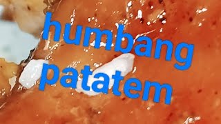 Humbang patatem #lutongbahay #humbangpatatem