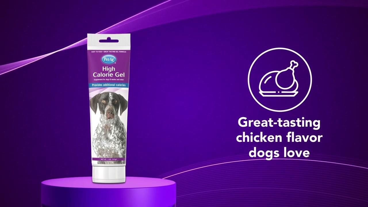 High Calorie Gel Supplement for Dogs