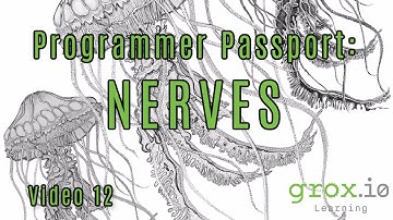 Programmer Passport: Elixir Nerves, Video 12 -  Networking with VintageNet