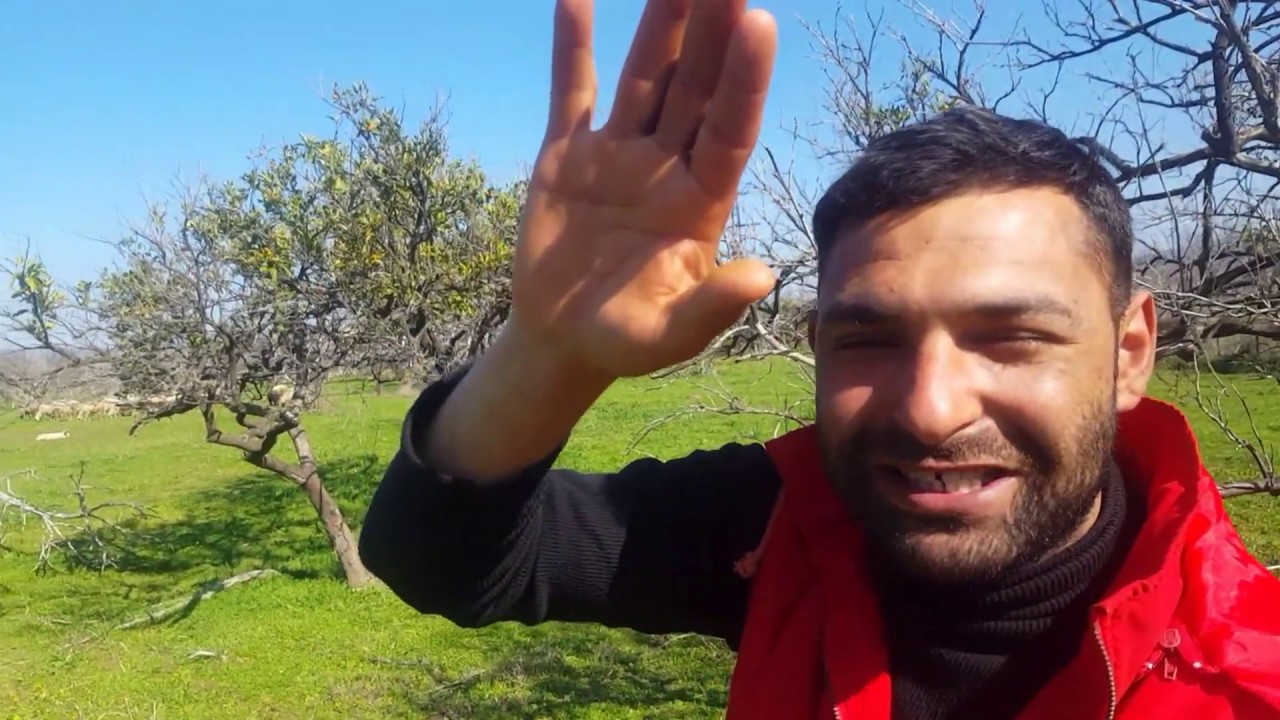 KAZANÇLI KOYUN IRKLARI ( HANGİ IRK KOYUN BESLİYORUZ ? )